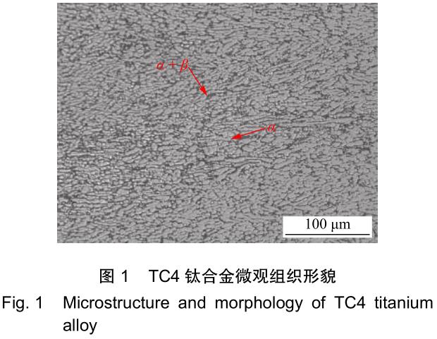 1701523080118397.jpg t1.jpg