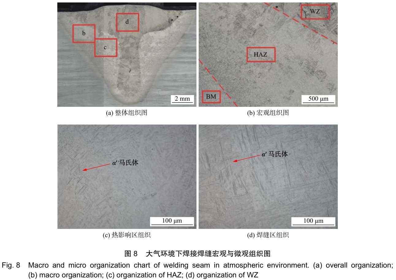 1701523147139394.jpg t8.jpg