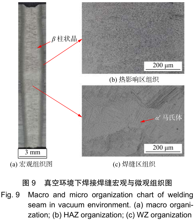 1701523155125089.jpg t9.jpg