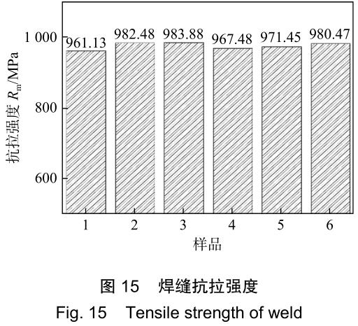 1701523208376019.jpg t15.jpg