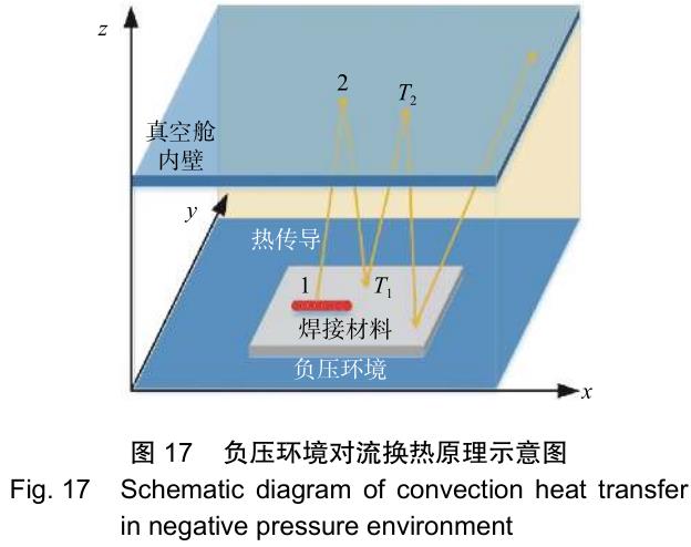 1701523229601245.jpg t17.jpg