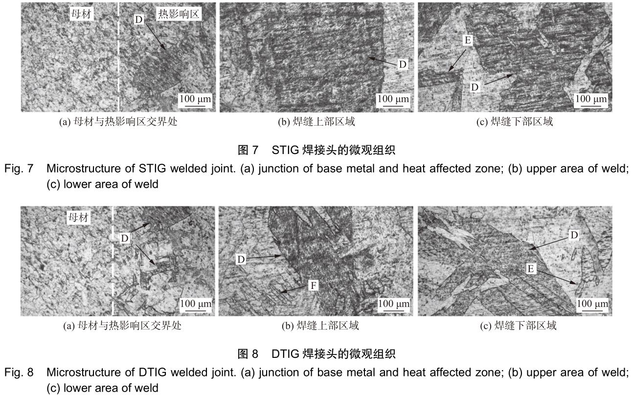 1701866612945577.jpg t7-8.jpg