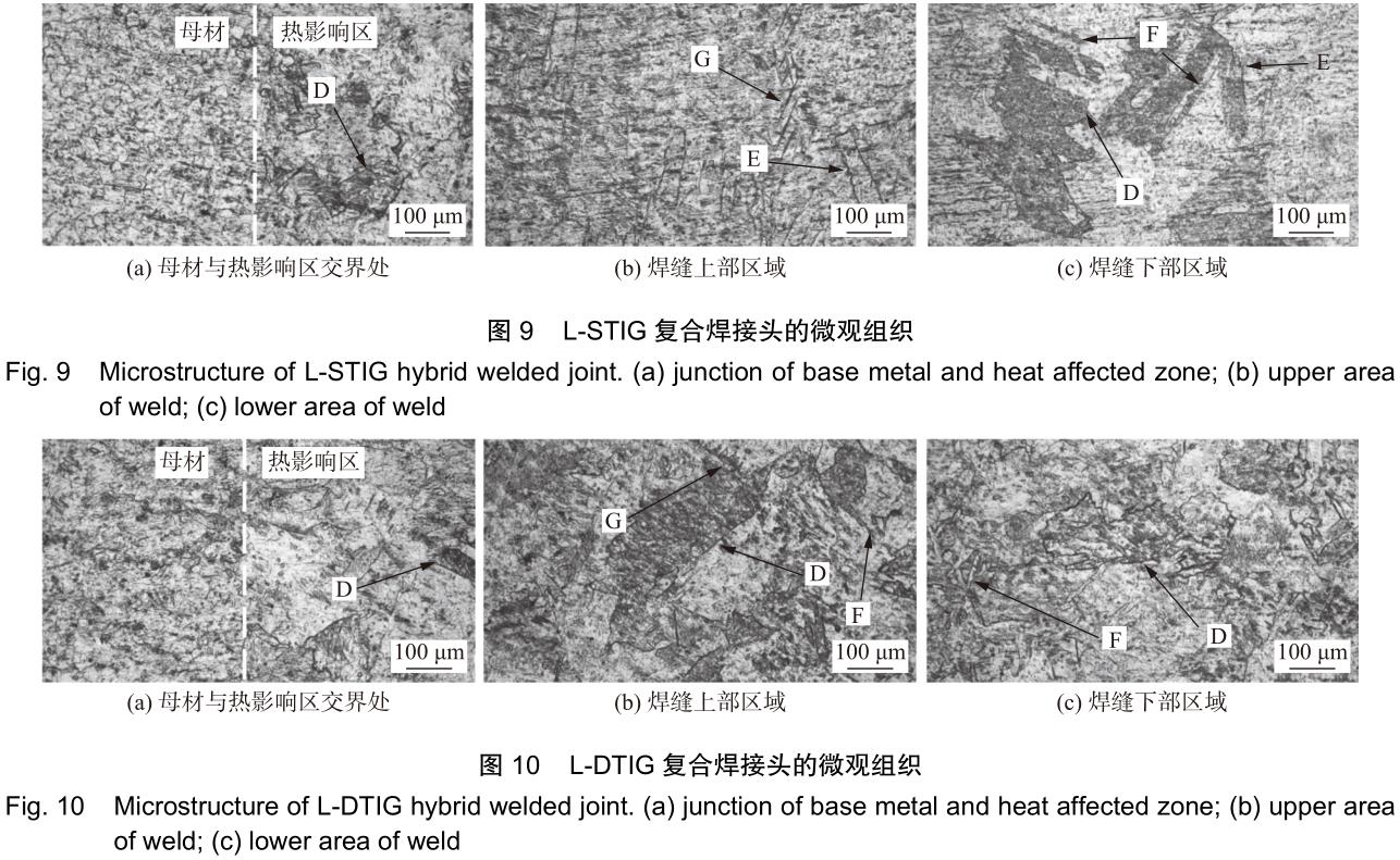 1701866622851161.jpg t9-10.jpg