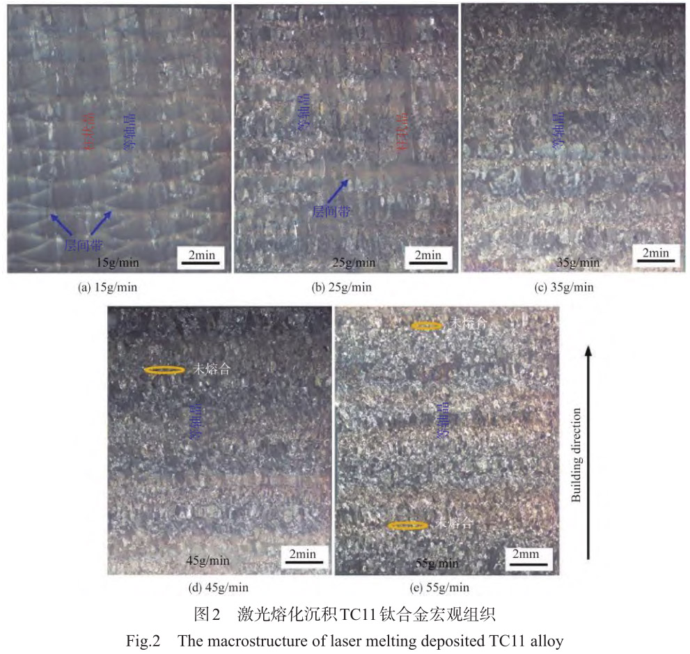 1712443975231208.jpg t2.jpg