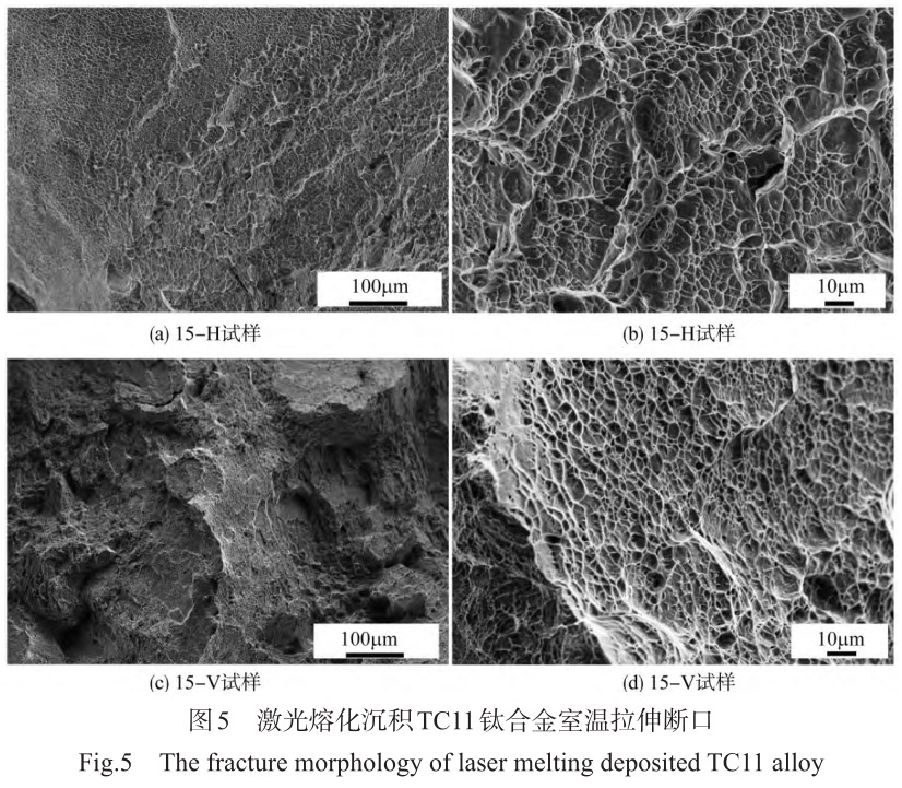 1712444036571931.jpg t5.jpg