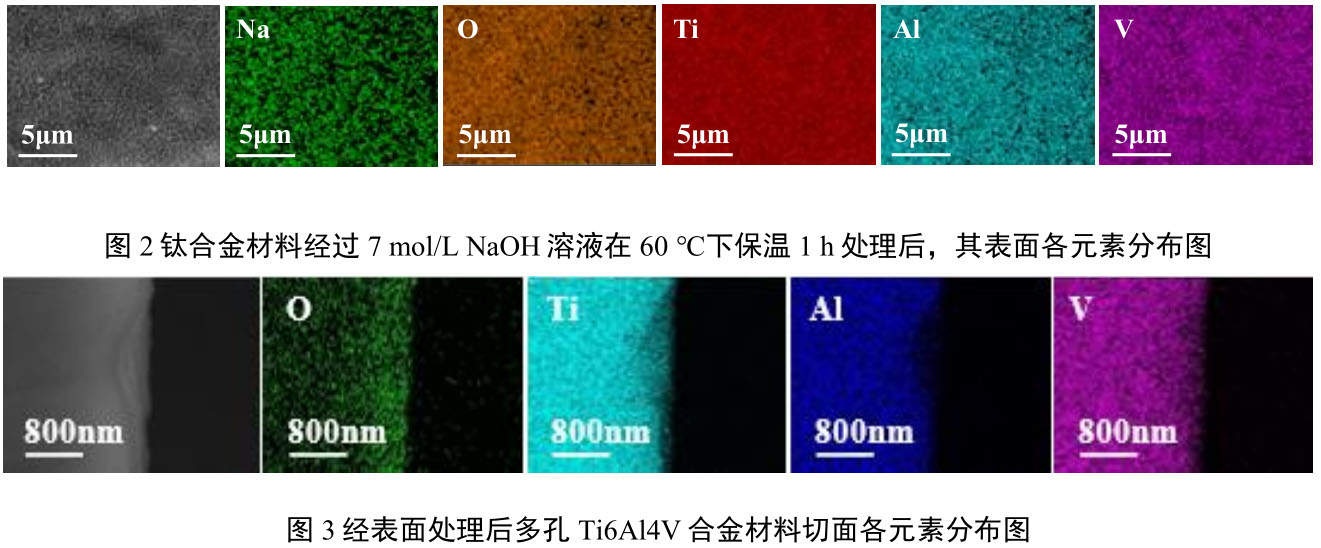 1717930993206036.jpg 鈦-3.jpg