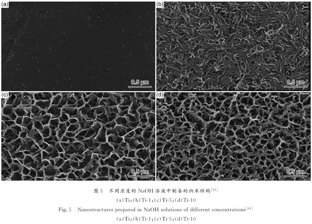 1720605647519313.jpg t5.jpg